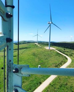 Rope Access Level 3 Supervisor Fall Arrest Wind Farm Bat Monitoring Renewable Energy
